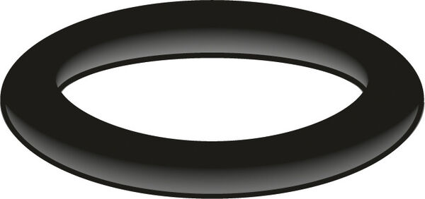Guarnizione O-Ring Neoperl image number 0