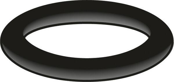 O-Ring R Neoperl image number 0