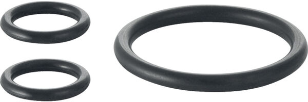 O-Ringe aus EDPM Geberit image number 0