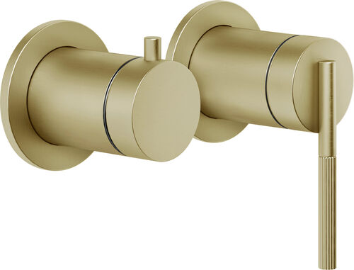 Miscelatore bagno / doccia-set di montaggio finale Gessi Ingranaggio brushed brass