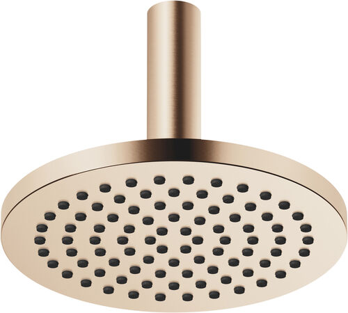 Regenbrause Dornbracht &frac12;" Champagne geb&uuml;rstet