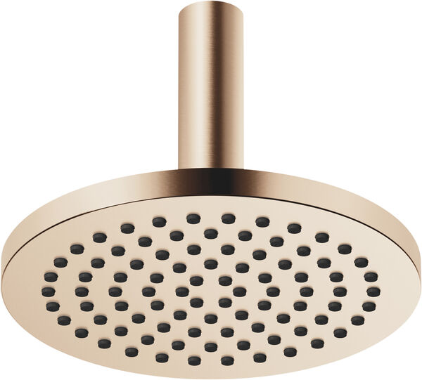 Regenbrause Dornbracht &frac12;" Champagne geb&uuml;rstet image number 0