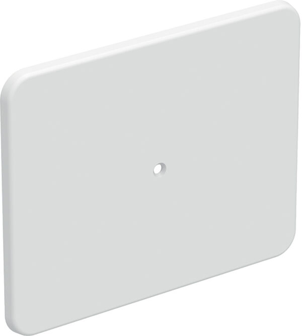 Plaque de recouvrement Geberit Duofix Blanc image number 0