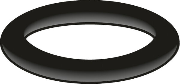 O-Ring Neoperl image number 0
