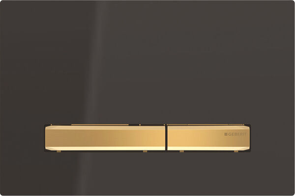 Plaque de d&eacute;clenchement Geberit Sigma50 square Noir RAL 9005 image number 0