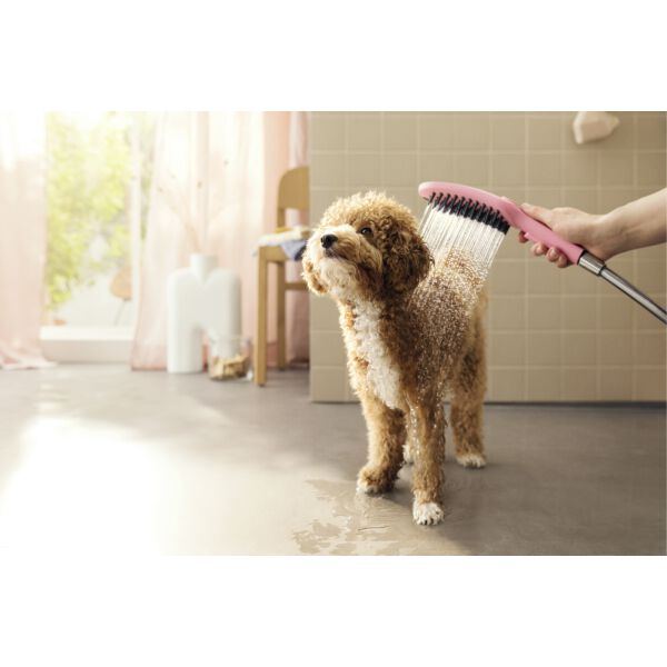 Hundebrause Hansgrohe DogShower pink image number 2