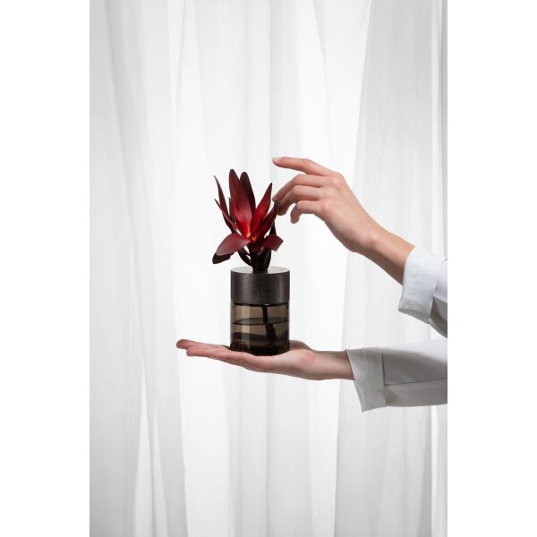 Diffusore e profumo d'ambiente Gessi Home Decor Warm steel brushed Trame image number 1