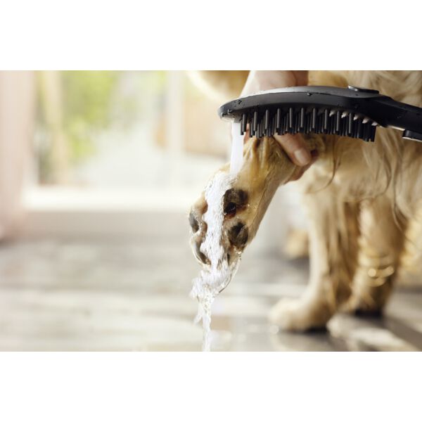 Hundebrause Hansgrohe DogShower schwarz matt image number 3