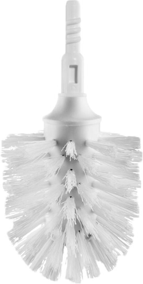 Brosse seule Avenarius / Sam Way