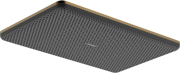 Regenbrause Hansgrohe Raindance Alive Q EcoSmart &frac12;" Brushed bronze image number 0