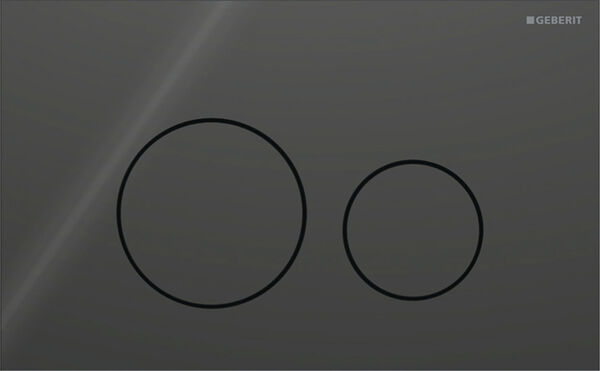 Plaque de d&eacute;clenchement Geberit Sigma40 round Noir Verre image number 0
