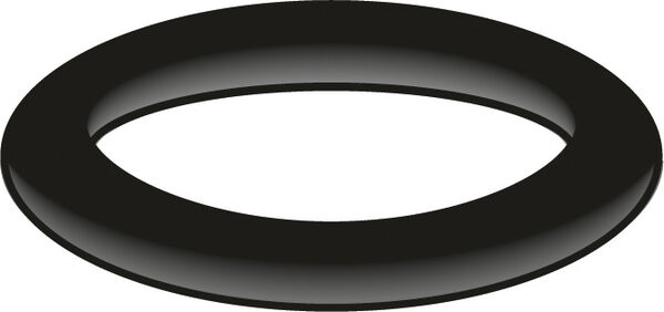 Guarnizione O-Ring Neoperl image number 0