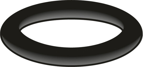 Guarnizione O-Ring Neoperl image number 0