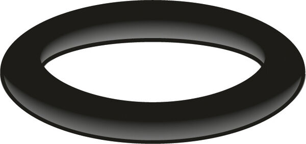 O-Ring AN Neoperl image number 0