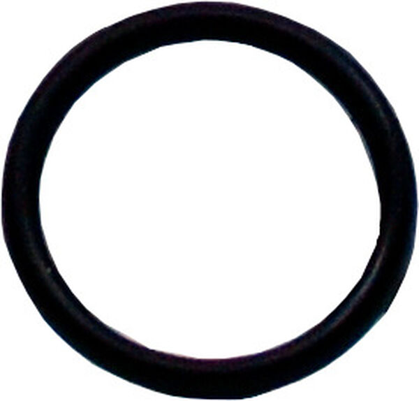 Joint O-Ring Laufen-Twin image number 0