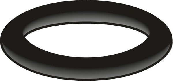 O-Ring R Neoperl image number 0
