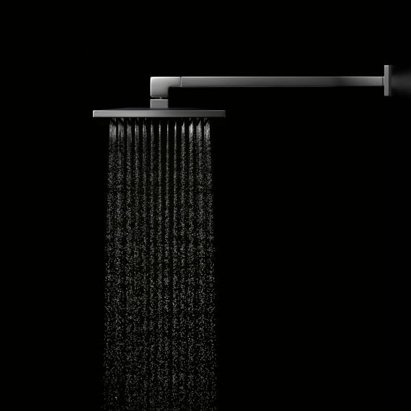 Regenbrause Dornbracht &frac12;" Verchromt image number 3