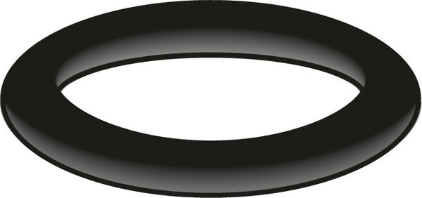 O-Ring AN Neoperl image number 0