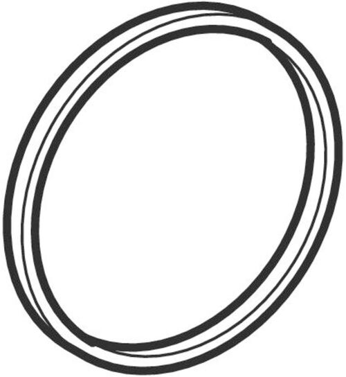 O-Ring Geberit