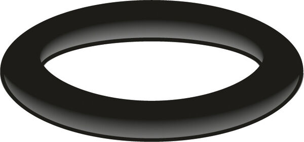 Guarnizione O-Ring d. interno 36,1 x 3,53 mm 10 pezzi (78 6180 90) image number 0