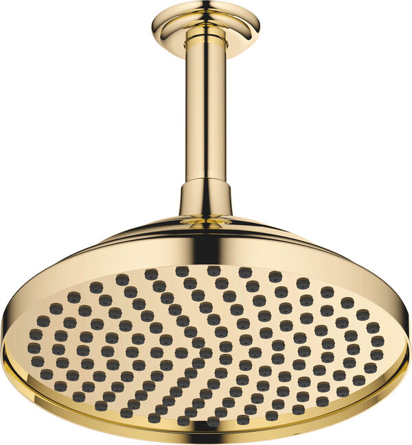 Regenbrause Dornbracht Madison mit Deckenanschluss Messing image number 0