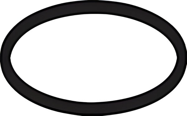 Joint O-Ring Hansgrohe image number 0