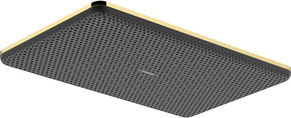 Pomme de douche Hansgrohe Raindance Alive Q EcoSmart &frac12;" Brushed bronze image number 0
