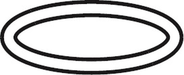 O-Ring eckig KWC image number 0