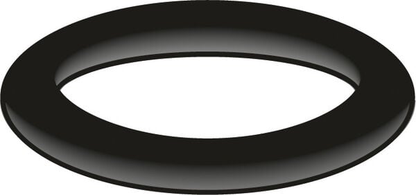 O-Ring AN Neoperl image number 0