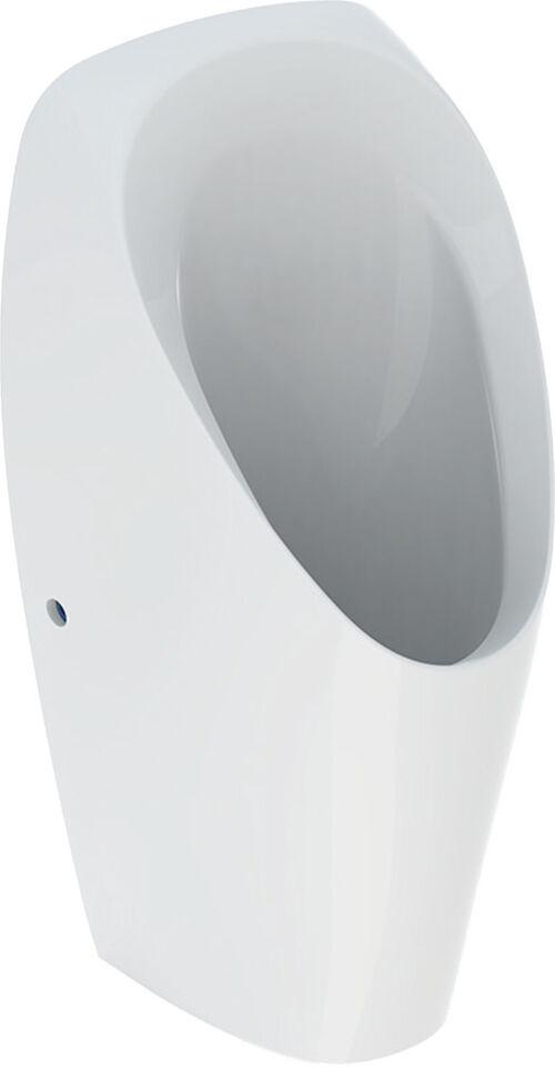 Orinatoio Geberit Tamina senza bordo di risciacquo Bianco