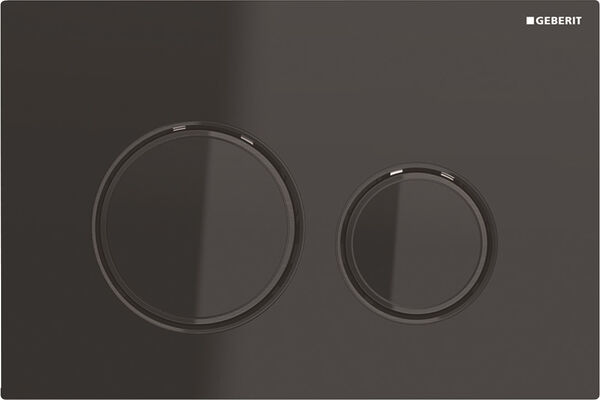 Plaque de d&eacute;clenchement Geberit Sigma50 round Noir image number 0