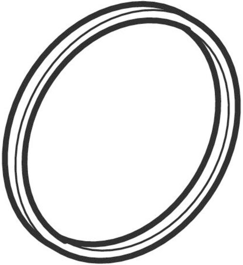 O-Ring Geberit Geberit