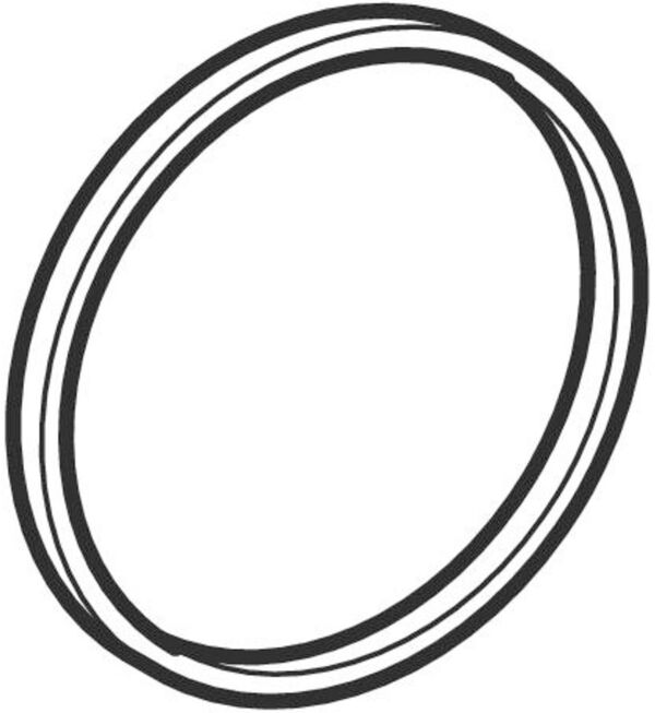 O-Ring Geberit Geberit image number 0