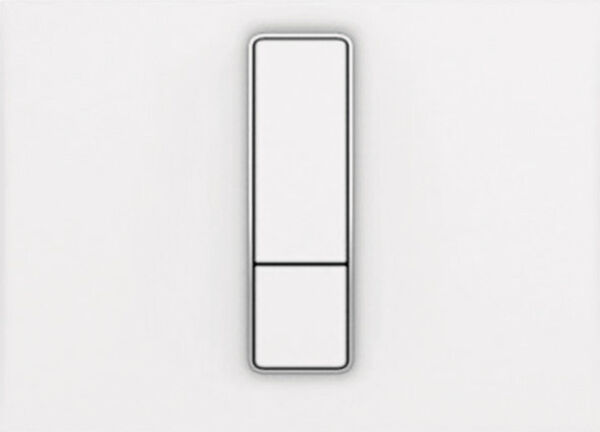 Plaque de commande Ineo Bright 2C Blanc image number 0