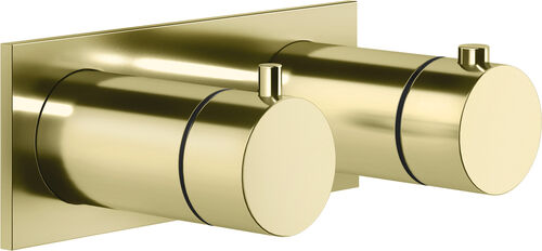 Miscelatore da doccia-set di montaggio finale Gessi Anello / Ingranaggio Ottone PVD