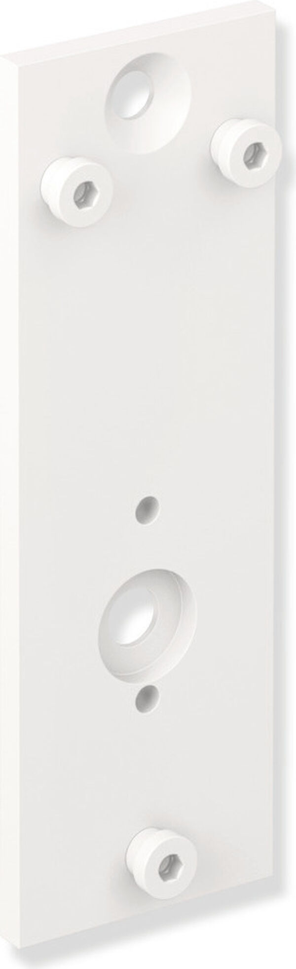 Plaque de montage Hewi 900 Blanc mat image number 0