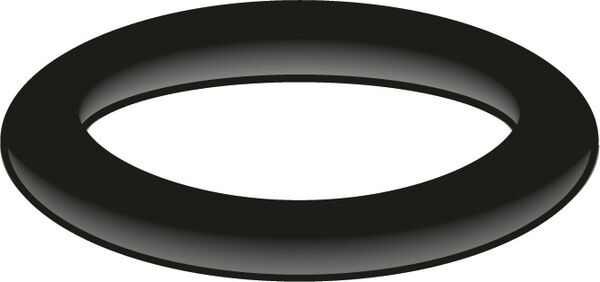 Guarnizione O-Ring Neoperl image number 0