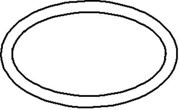 O-Ring Dornbracht O-Ring 32 x 2,5 mm zu Sifon (09141014890) image number 0