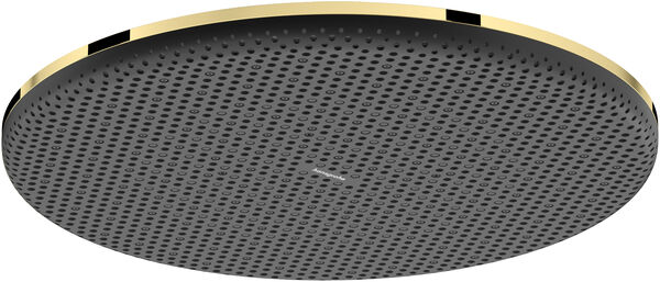 Pomme de douche Hansgrohe Raindance Alive S EcoSmart &frac12;" Noir mat image number 0