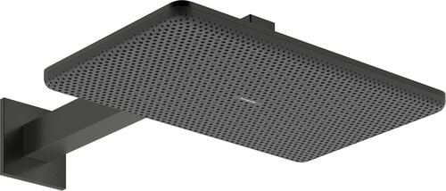 Pomme de douche Hansgrohe Raindance Alive Q EcoSmart Brushed black chrome