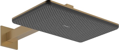 Regenbrause Hansgrohe Raindance Alive Q EcoSmart Brushed bronze