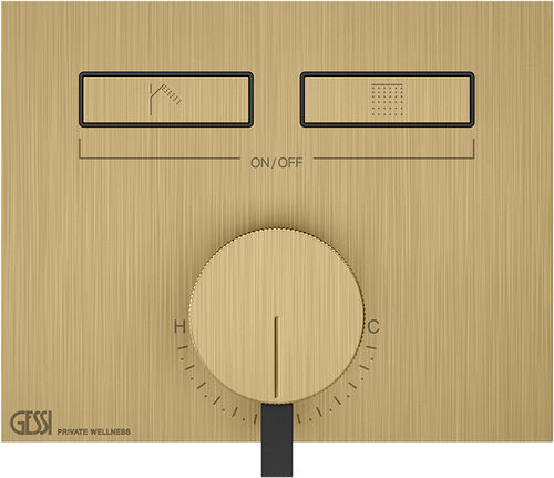 Duschsystem-Endmontageset Gessi HI-FI Mixer Brushed brass
