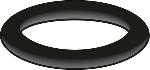 O-Ring Neoperl