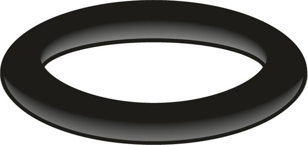 O-Ring Neoperl image number 0