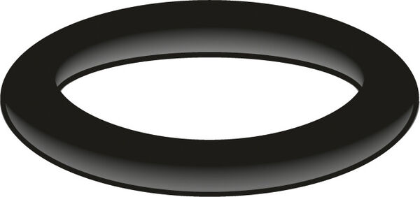Guarnizione O-Ring Neoperl image number 0