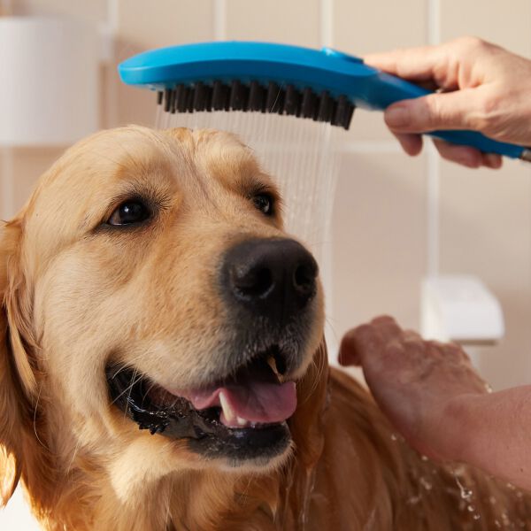 Hundebrause Hansgrohe DogShower petrol image number 2