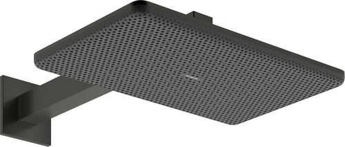 Soffione per doccia Hansgrohe Raindance Alive Q EcoSmart Brushed black chrome