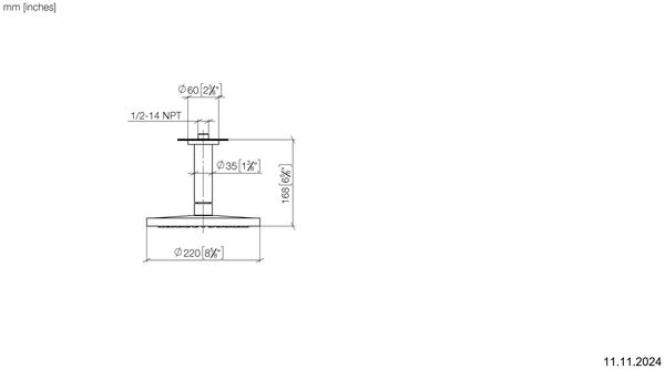Regenbrause Dornbracht &frac12;" Champagne geb&uuml;rstet image number 2