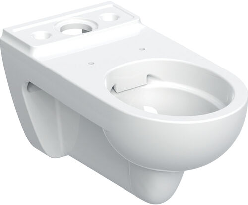 Cuvette murale Geberit Renova rimless Blanc