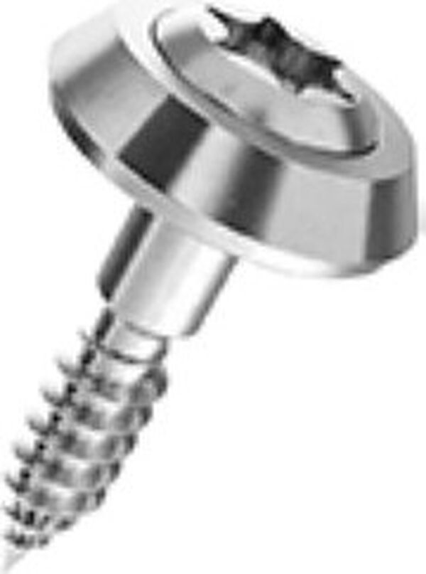 Vite speciale FN 455 con guarnizione ad anello e cuvette image number 0
